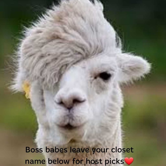 Thanks everyone xo - Picture 5 of 8